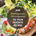 Radish Sprouting Seed - Red Arrow Variety - 4 oz Seed Pouch - Heirloom Radish Sprouts - Non-GMO Sprouting and Micro Greens