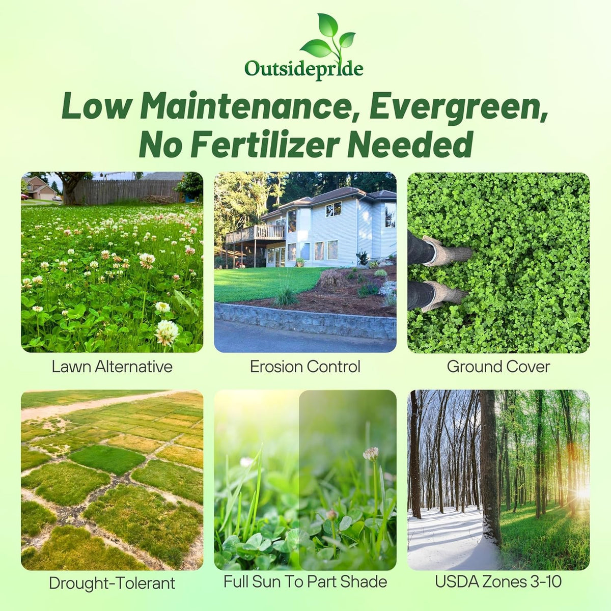 Outsidepride Perennial White Dutch Clover Seed - 10 lbs. Nitrocoated, Inoculated Clover Seeds for Lawn Alternative, Erosion Control, Food Plots, Ground Cover, & Pasture Mixtures in USDA Zones 3-10