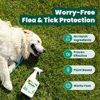 Cedarcide Original: Eco-Friendly Bug Spray - Repel & Kill Fleas, Ticks, Mosquitoes, Mites, Ants & Chiggers - for use on People, Pets & Home - Natural Cedar Oil - Pint