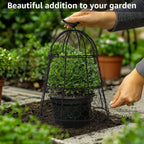 Pack of 6 Heavy-Duty Chicken Wire Plant Cloches – Rustproof Garden Protectors and Plant Cages for Vegetables and Flowers – Safeguard Plants from Deer and Critters – 20” x 12”