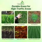 Outsidepride Combat Extreme Transition Zone Grass Seed Blend for Lawn 10 lbs - Fine, Medium Leaf Blades & Dense Turf for Sun, Shady & High Traffic Areas w/OptiGrowth Coating for Seed Enhancement
