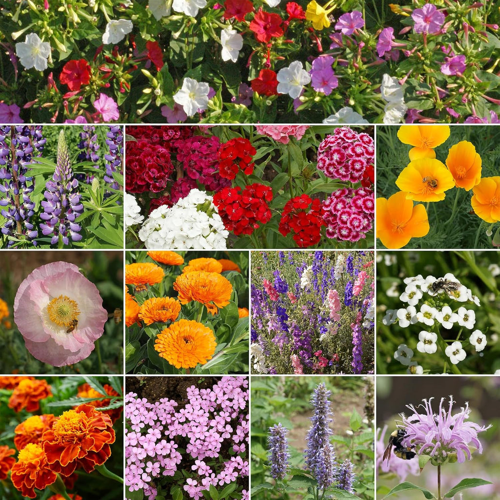 Ferry-Morse Deer Resistant Mix Bulk Wildflower Seeds, 1lb and SUPERthrive Vitamin Solution, 4oz.