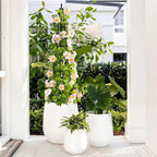 4 Ft obelisk trellis for Climbing Plants outdoor,4 Ft garden trellis with Extra Thickened Plastic-Coated metal pipes, Garden Indoor Potted Plant Support, Climbing Support for Potted Plants