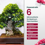 16oz Bonsai Tree Live Liquid Plant Food - Makes 32 Gallons of Bonsai Fertilizer Liquid, Premium Macronutrient Formula Enriched with Micronutrients for Healthy Roots, Branching & Foliage