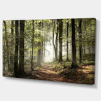 DesignArt Oversized Canvas Wall Art Décor - Green Fall Forest with Sun Rays - Landscape Canvas Print for Bedroom, Dining Room, Living Room Décor - 32" x 16"