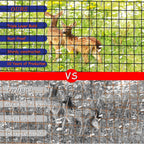 Black Metal Garden Fence, 60inch(H) x 100ft(L), 2 inch x 4 inch,12.5GA 2/3/4/5/6 Ft Tall Chicken Wire PVC Coated Welded Wire Mesh Roll for Dogs Border Yard Vegetable Plant Protection Poultry Netting