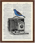 Poster Master Dictionary Art Poster - Antique Camera Print - Bird Art - Photography Art - Gift for Men, Women & Photographer - Chic Decor for Living Room, Bedroom or Office, 8x10 Brown Framed