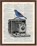 Poster Master Dictionary Art Poster - Antique Camera Print - Bird Art - Photography Art - Gift for Men, Women & Photographer - Chic Decor for Living Room, Bedroom or Office, 8x10 Brown Framed
