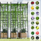 Flat Top Garden Arch Trellis 11FT x 9FT, Super Large Arbor Trellis for Climbing Plants Outdoor 141.7in x 108in x 19.7in, Metal Garden Frame for Backyard, Lawn, Archway, Wedding Decoration, Patio Black