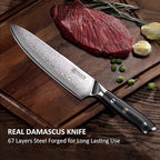 PAUDIN Damascus Chef Knife, 8 Inch Kitchen Knife, 67 Layers Damascus Steel Knife Japanese VG10 Core, Professional Chefs Knife with Ergonomic G10 Handle