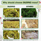 DUSPRO Dried Moss for Potted Plants, Forest Orchid Moss for Potting Mix, Sphagnum Potting Moss for Plants Indoor, Real Moss Soil Cover for Houseplant (5 OZ)