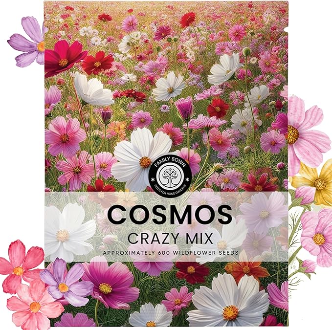 Crazy Cosmos Mix - Large 5g Envelope - 600 Flower Seeds for Planting - Cosmos bipinnatus
