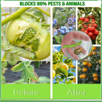 Fruit Tree Netting with Drawstring & Zipper, Bird Netting for Blueberry Bushes (2, 6x7.2 FT)