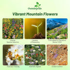 Outsidepride Mountain Wild Flower Seed Mix - 1/4 lb Premium Blend of Annual & Perennial Wildflower Seeds for High-Elevation, USDA Zones 3-8, Ideal for Mountain Gardens, Low-Maintenance & Easy to Grow