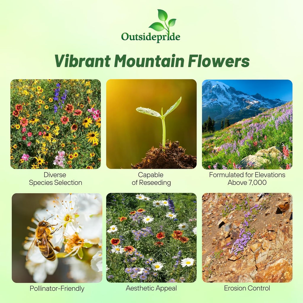 Outsidepride Mountain Wild Flower Seed Mix - 5 lbs Premium Blend of Annual & Perennial Wildflower Seeds for High-Elevation in USDA Zones 3-8, Ideal for Mountain Gardens, Low-Maintenance & Easy to Grow