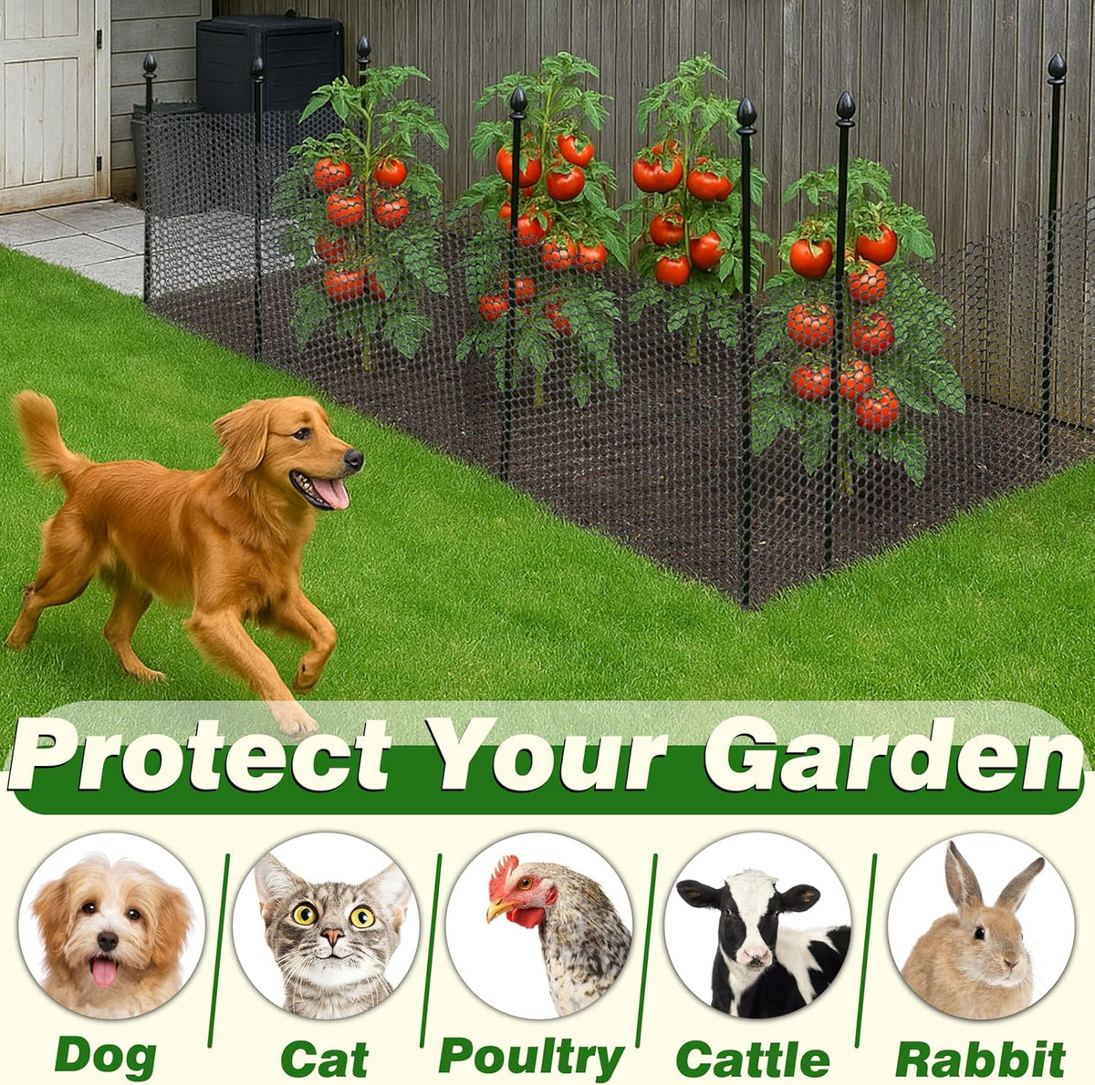 Gardzen Plastic Chicken Wire Mesh with 40 pcs Ties, 16in x 20ft Durable Chicken Fence for Poultry, Garden Protection & DIY Crafting, Heavy-Duty Mesh Netting for Outdoor & Indoor Use