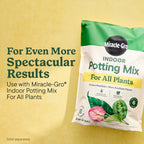 Miracle-Gro Indoor Plant Food for All Plants, 8 fl. oz. (2-Pack)