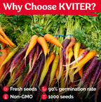 KVITER 1,000 Rainbow Carrot Seeds (Daucus Carota) - Baby Carrots Mix, Sweet & Tender Taste - Heirloom & Organic Carrots Seeds for Planting in Vegetable Garden, Raised Beds & Containers