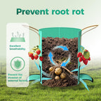 3 Pack 10 Gallon Strawberry Grow Bags, Heavy Duty Reusable PE Pots with Breathable Window, Branch & Drainage Holes, Reinforced Handles for Strawberries, Veggies, Flowers, Balcony/Patio Use