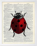 Poster Master Dictionary Art Poster - Retro Ladybug Print - Insect Art - Red Bug Art - Gift for Men, Women & Animal Lover - Minimal Decor for Living Room & Kid's Room, 8x10 White Framed
