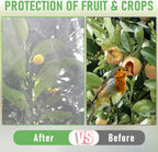 Fruit Tree netting, Blueberry Bush Netting Cover for Garden Protection, 4Pcs 5.3x5.3 FT Garden Plant Netting Pest Barrier for Raised Beds for Strawberry, Tomato, Bug Mesh Net from Bird, Cicadas