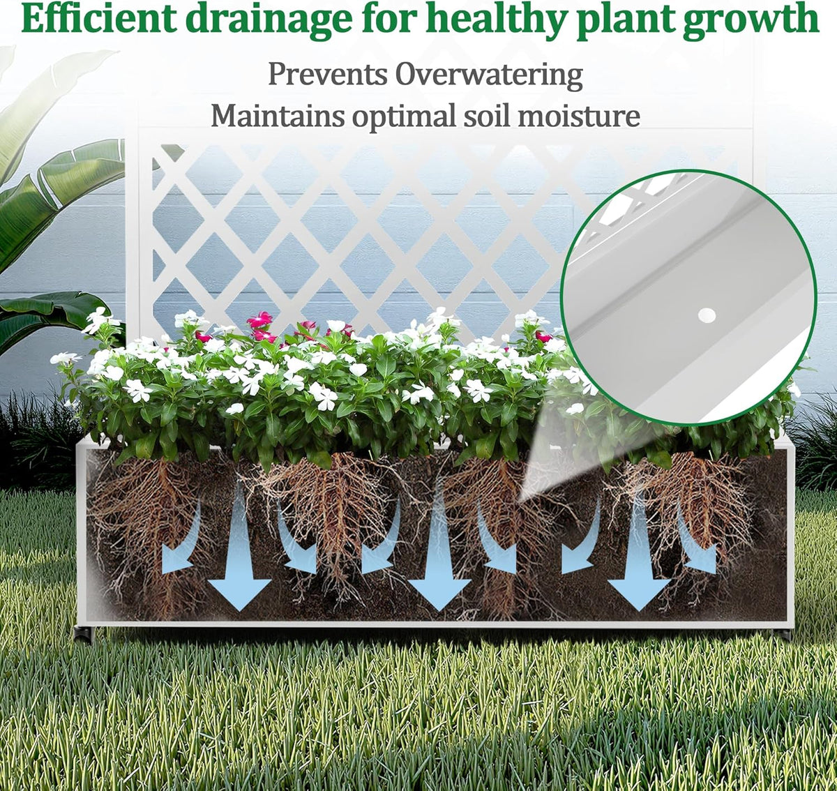 Metal Raised Garden Bed with Trellis and Wheels, 2 in 1 Trellis with Planter Box & Privacy Screen for Climbing Plants, Outdoor Standing Flower Beds with Drainage Holes, 35.4"L x 15.7"W x 70.9"H, White