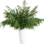 10 Pcs 36 Inch Artificial Norfolk Pine Stems Faux Christmas Greenery Evergreen Pine Branches Realistic Fake Cedar Pine Picks Winter Greens for Vases DIY Garland Wreath Home Holiday Decor