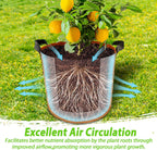 7 Pack 5 Gallon Plant Grow Bags - Mixed 7 Colors with Reinforced Handles & Aeration Design, Ideal for Tomato, Flowers & Fruits