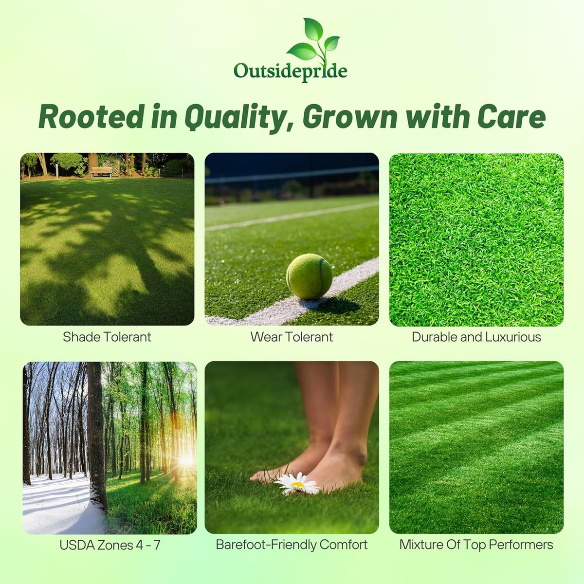 Outsidepride Showtime Perennial Lawn Grass Seed Mix - 50 lbs. Premium Blend of Creeping Red Fescue, Rye Grass & Kentucky Bluegrass Seed for Sports Fields, OptiGrowth Coated for Better Establishment