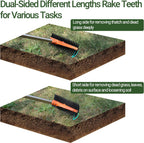 Thatch Rake for Lawns 18 Sharp Tempered Spring Steel Tines Dethatcher Rake Heavy Duty Dethatching Rakes with 62.5" Adjustable Stainless Steel Handle for Lawn Care，Dead Grass, Garden, Yard