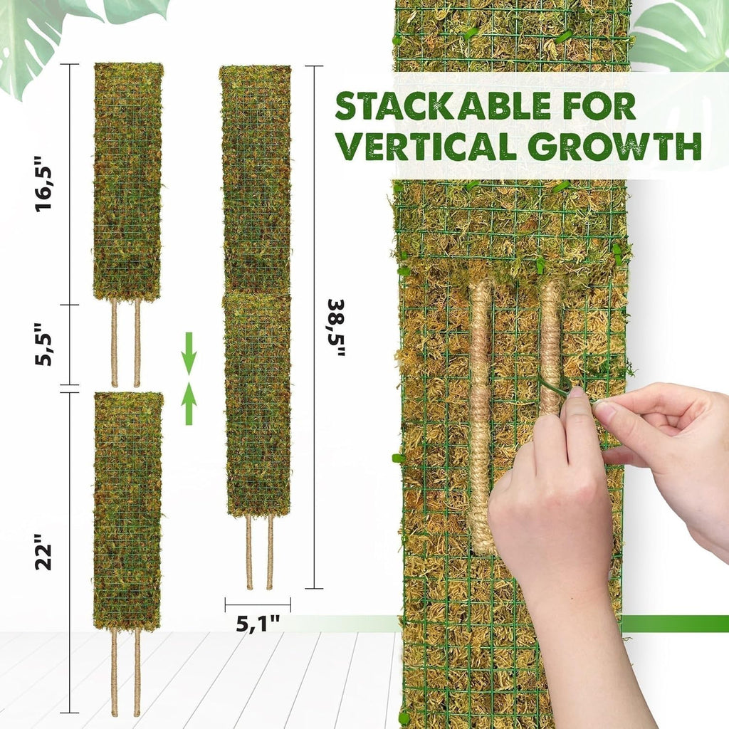 DUSPRO Flat Mesh Moss Poles for Climbing Plants Monstera Stackable Moss Pole for Plants with Real Moss Moss Plant Pole for Potted Plants Handmade Moss Stick for Indoor Plants Grow Upward 2 Pack 22”