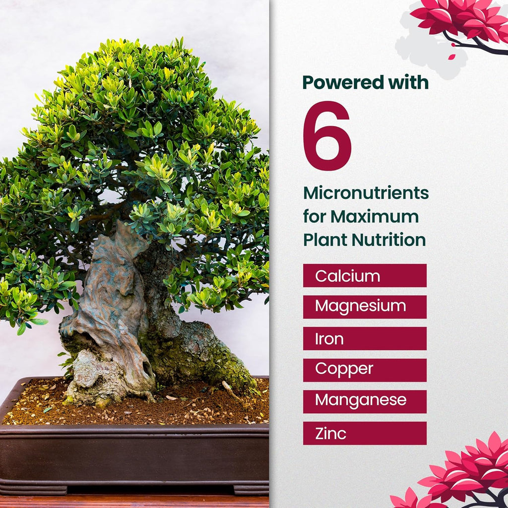 32oz Bonsai Tree Live Liquid Plant Food - Makes 64 Gallons of Bonsai Fertilizer Liquid, Premium Macronutrient Formula Enriched with Micronutrients for Healthy Roots, Branching & Foliage