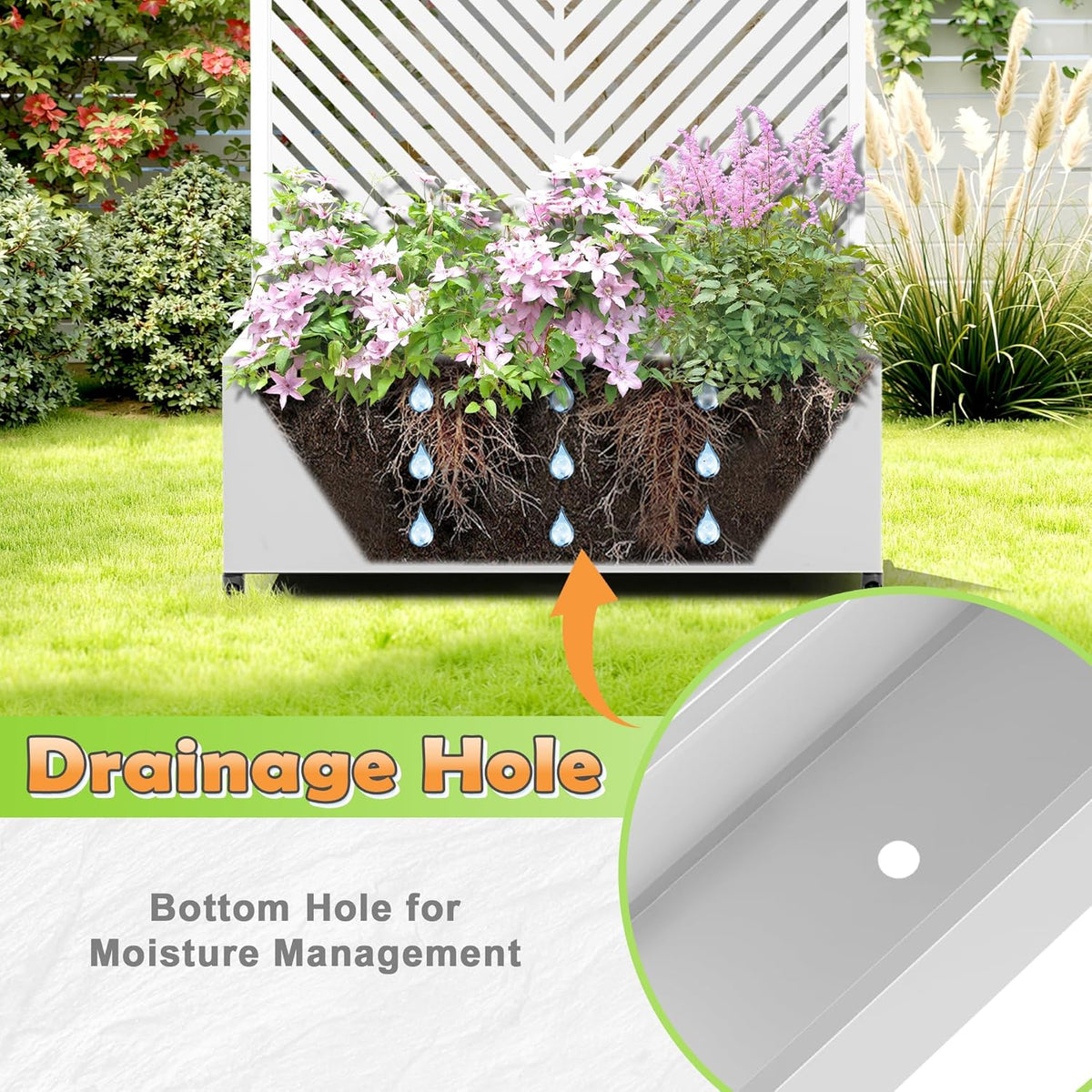 Metal Raised Garden Bed with Trellis, 2-in-1 Planter Box & Privacy Screen for Climbing Plants, Outdoor Standing Flower Bed with Drainage Holes, 35.4" L x 15.7" W x 70.1" H, White-Parallel