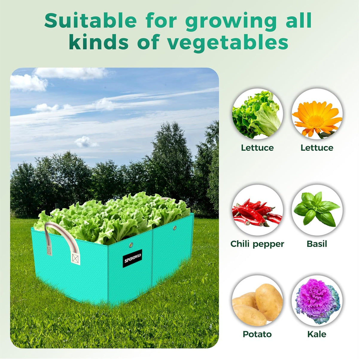 2 Pcs 6 Gallon Rectangle Grow Bags for Growing Potatoes, PE Pots Potato Pots Growing Containers Potato Planter Potato Planter for Growing Potatoes, Green