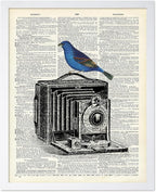 Poster Master Dictionary Art Poster - Antique Camera Print - Bird Art - Photography Art - Gift for Men, Women & Photographer - Chic Decor for Living Room, Bedroom or Office, 11x14 White Framed