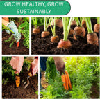 Woods Creek Seeds: Imperator 58 Carrot Seeds for Planting - Over 1,000 Heirloom Carrot Seed Pack - Non-GMO Carrots Seeds for Planting Outdoors or Indoors - Beginner Friendly Vegetable Gardening