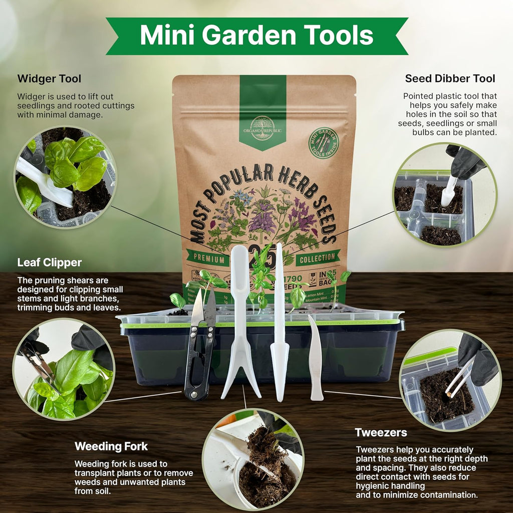 25 Most Popular Herb Seeds Variety Pack - 11,700 Non-GMO Heirloom Seeds for Planting Herbs in Individual Seed Packets for Hydroponic, Indoor & Outdoor Gardening