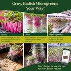 Radish Sprouting & Microgreens Seeds - 50,000 Non-GMO Heirloom Seed, 1lb Resealable Bag - High-Germination Radish Seeds for Sprouting in Jars, Soil, Hydroponics & Microgreen Trays