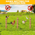 100'x100' Bird Netting for Chicken Coop, Heavy Duty Nylon 1" Mesh Poultry Netting Chicken Nettings Roof Hawk, Aviary Nettings Deer Fence Garden Net for Fruits Trees Plant