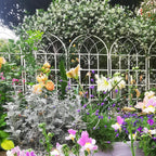 Metal Garden Trellis Rustproof Trellis for Climbing Plants Outdoor Flower Support Butterfly Deco (Cream White-4 Pack, 71"x19.7")