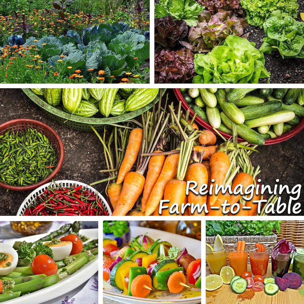 Squash Seeds - Summer - Vegetable Marrow White Bush - 1 Oz ~250 Seeds - Cucurbita Pepo - Non-GMO, Heirloom - Farm & Vegetable Garden