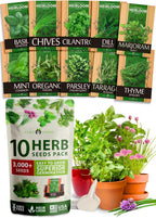 HOME GROWN 10 Herb Seeds for Planting 3,000+ Non-GMO Heirloom Seeds | Extra Large Variety Pack Herb Kit – Indoor Outdoor & Hydroponic | Culinary Seed Set | Grow Your Own Herbs | Gift for Beginners