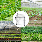 Generic 4 Set Wire Plant Covers Plant Protectors from Animals,20 Pcs 12""X12"" Chicken Garden Cloches for Plants Metal Meshes for Protect Plants Vegetables,Keeping Bunny Animals Out, Black