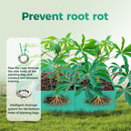 2 Pcs 8 Gallon Rectangle Grow Bags for Growing Potatoes, PE Pots Potato Pots Growing Containers Potato Planter Potato Planter for Growing Potatoes, Green