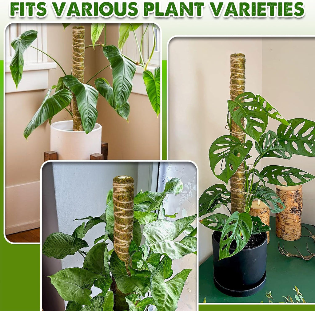 DUSPRO Natural Stackable Moss Pole for Plants Monstera, Forest Moss Sticks, Monstera Plant Support, Handmade Plant Stakes for Indoor Plants for Potted Plant to Grow Upward 02 pcs 22''