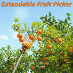 Fruit Picker Pole with Basket Telescoping 5-30 ft Apple Picker Extension Pole // Telescopic Fruit Tree Picker Tool for Picking Orange Mango Avocado Lemon Pear // The Ultimate High-Reach Fruit Grabber
