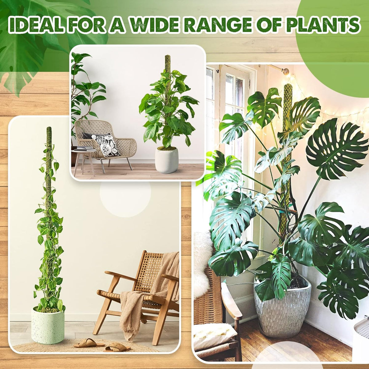 DUSPRO Stackable Mesh Moss Pole for Plants Monstera Potted Plant Stakes for Indoor Plants Extendable Plant Pole Moss Sticks for Plants Climbing Vine Supporting Monstera Trellis 4Pack 71''