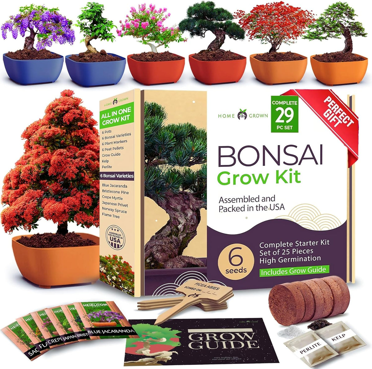HOME GROWN 𝗨𝗦𝗔 Bonsai Tree Kit – 6 Heirloom Varieties with Unique Pots – DIY Bonsai Starter Kit for Adults & Beginners – Christmas Gift for Men Women Gardeners Plant Lovers – Indoor Growing Kit