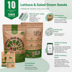 Organo Republic 10 Lettuce & Salad Greens Seeds Variety Pack 13000+ Non-GMO Heirloom Lettuce Seeds for Planting Indoors & Outdoors Garden, Hydroponics - Arugula, Radicchio, Kale, Spinach, Swiss Chard