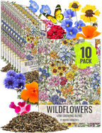 Seed Needs Low Growing Wildflower Flower Seeds for Planting | 10 Packs (1 Ounce Each) Mixture/Blend 17 Varieties | Resealable Package Multicolored Blooms Open Pollinated Mixed Species | Bulk